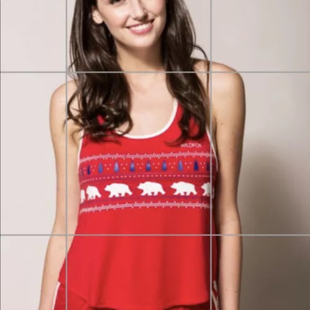 COPY - NWT wildfox wild Alaska tank ONLY